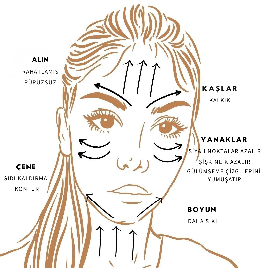 Parlatıcı Lenfatik Fırça
